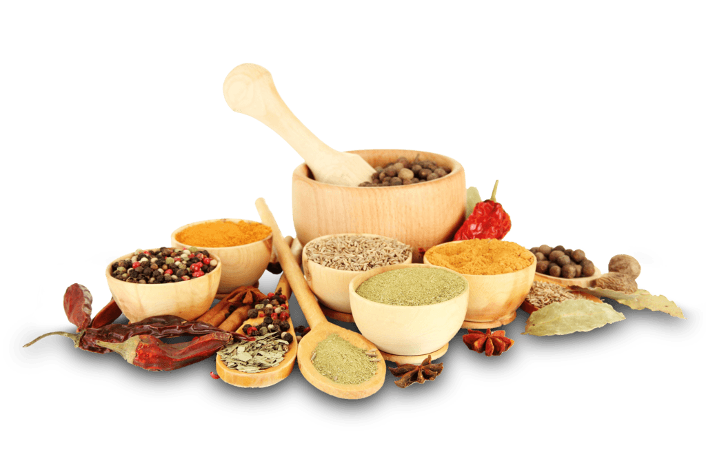 Kasturi Indian Cuisine Greenville, North Carolina